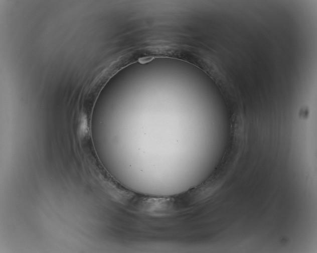 X0000111650089200907171555