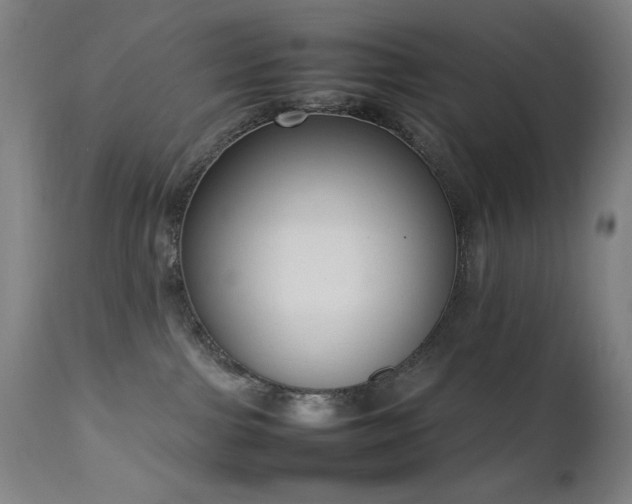 X0000111650091200907171555