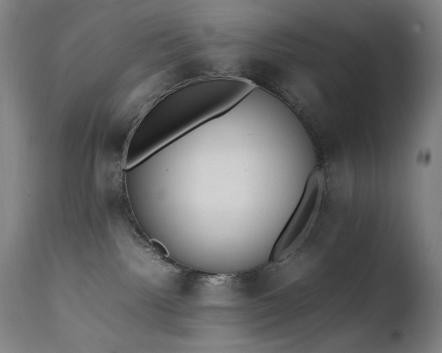 X0000111650092200907171555