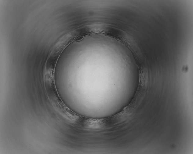 X0000111650093200907171555