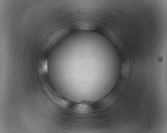X0000111650095200907171555