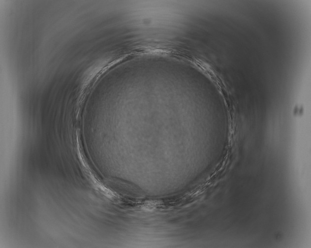 X0000111650097200907171555
