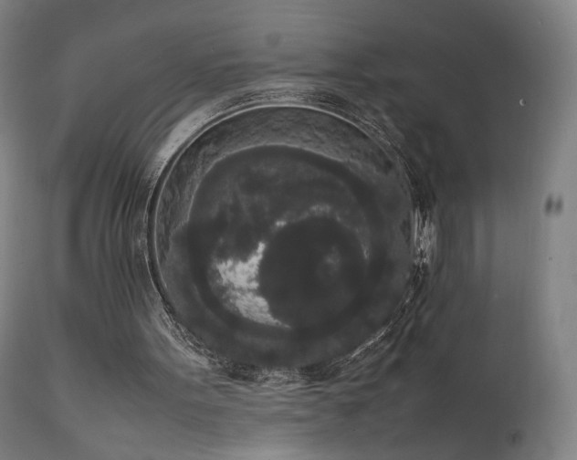 X0000111650099200907171555