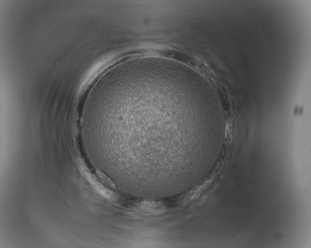 X0000111650101200907171555