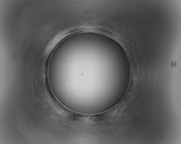 X0000111650103200907171555