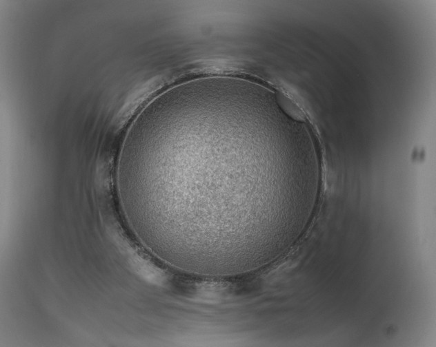 X0000111650105200907171555