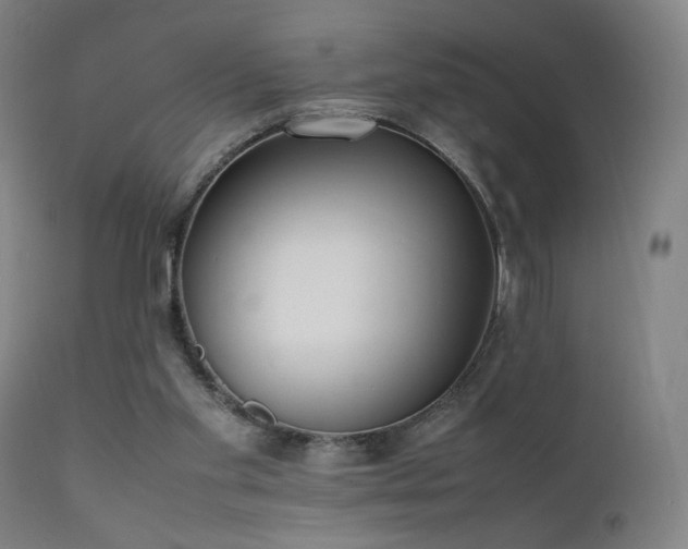 X0000111650109200907171554