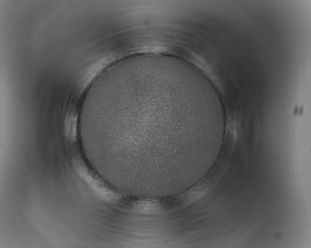X0000111650110200907171554