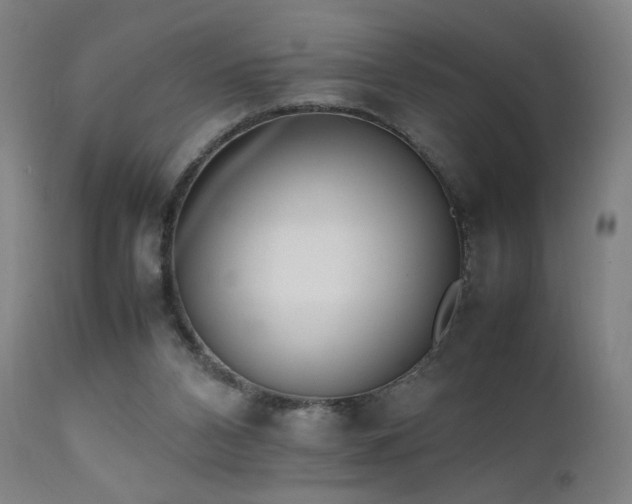 X0000111650112200907171554