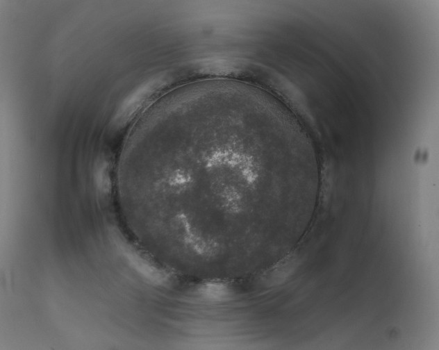 X0000111650114200907171554