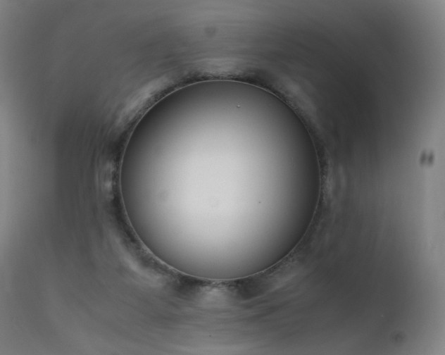 X0000111650115200907171554