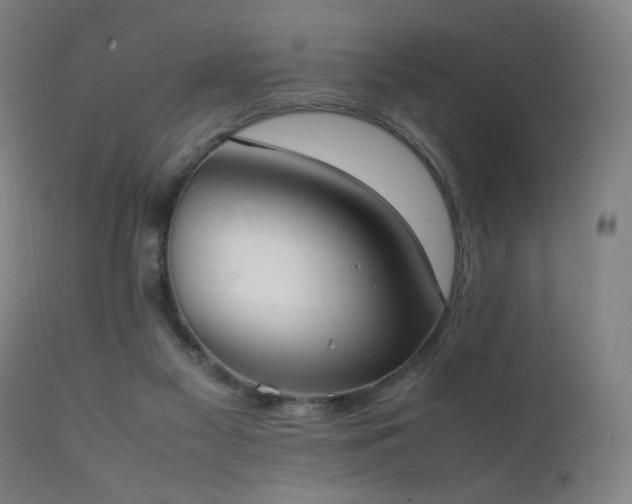 X0000111650117200907171554