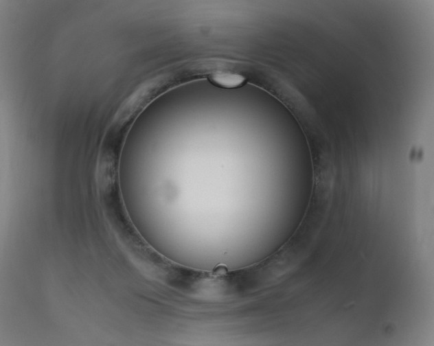 X0000111650119200907171554