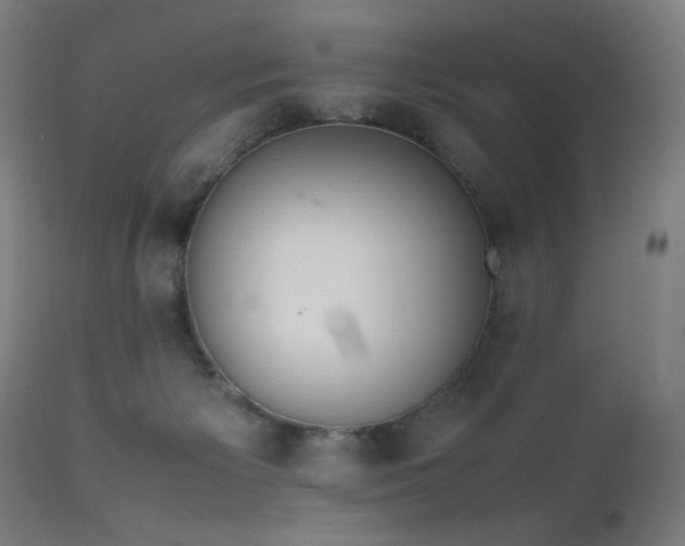 X0000111650125200907171554