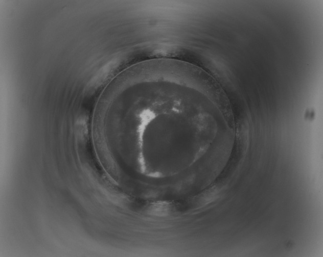 X0000111650127200907171554