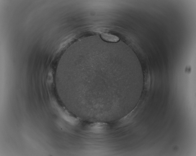 X0000111650128200907171554