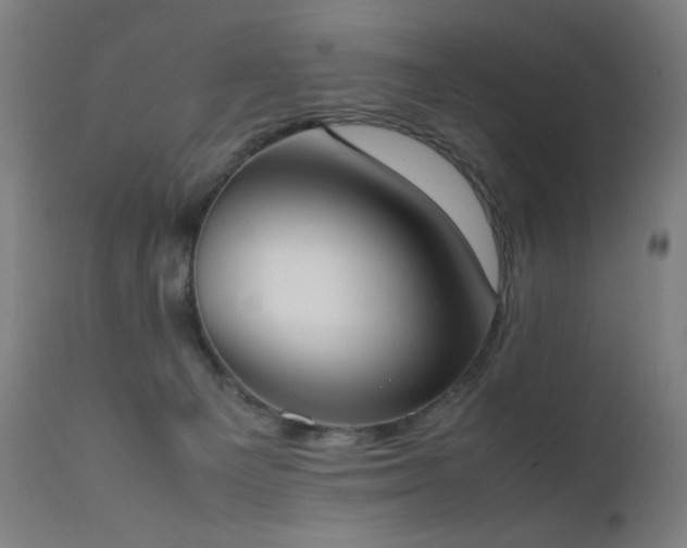 X0000111650129200907171554
