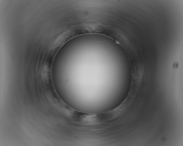 X0000111650132200907171554
