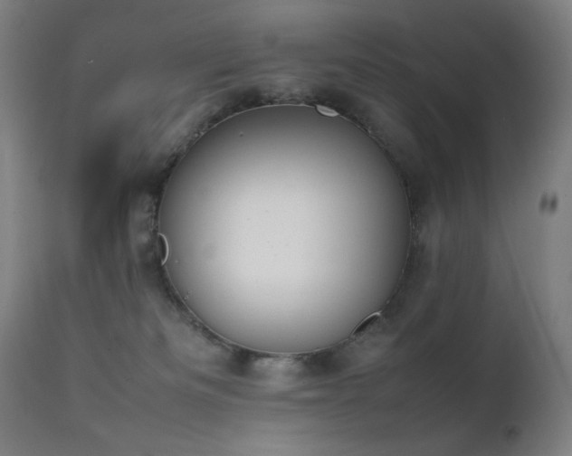 X0000111650133200907171554