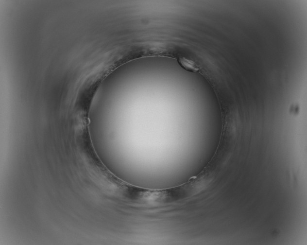 X0000111650135200907171554