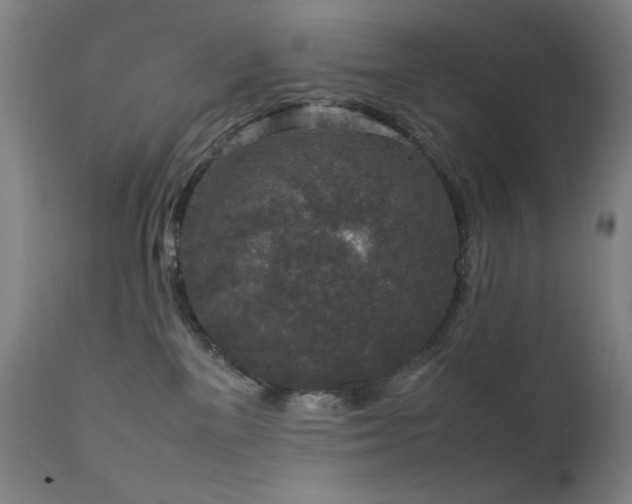 X0000111650137200907171554