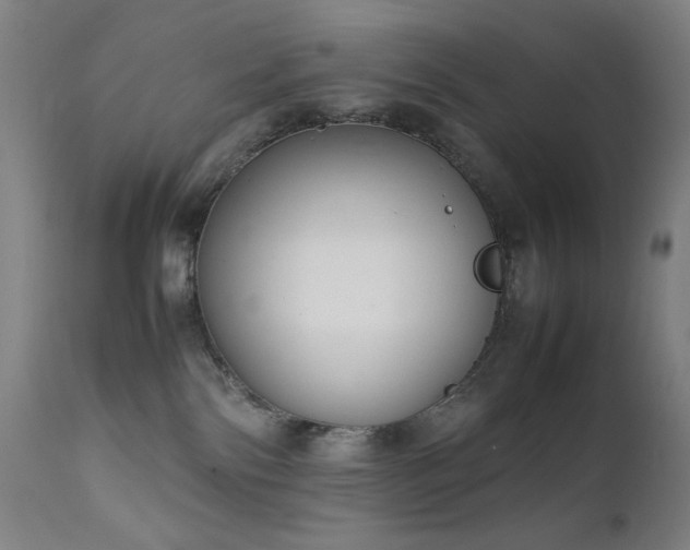 X0000111650138200907171554