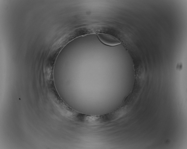 X0000111650139200907171554