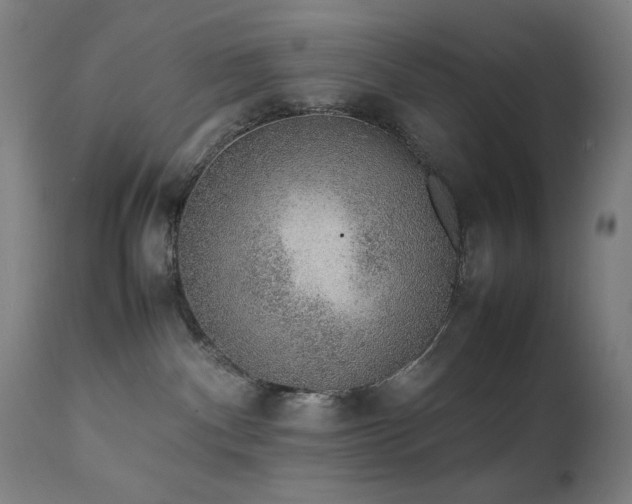 X0000111650140200907171554