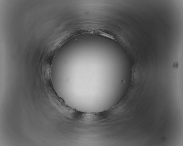 X0000111650141200907171554