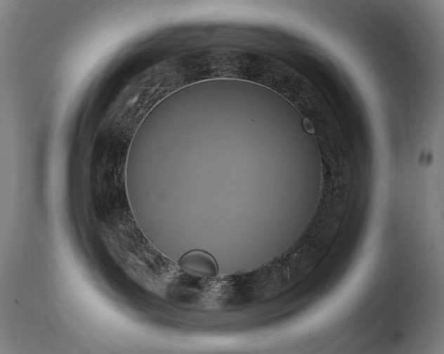 X0000111650143200907171554