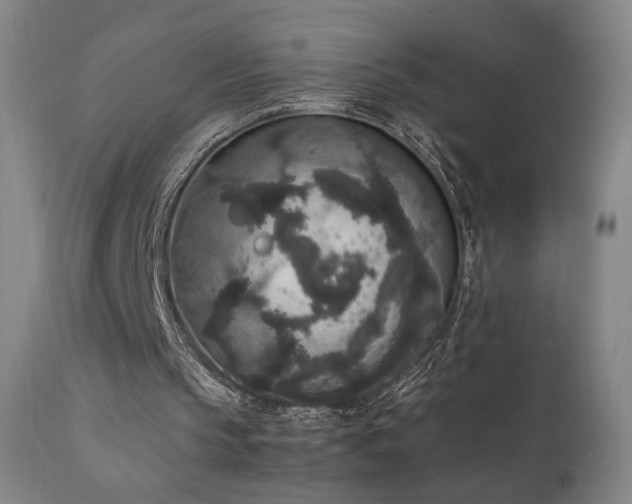 X0000111650145200907171553