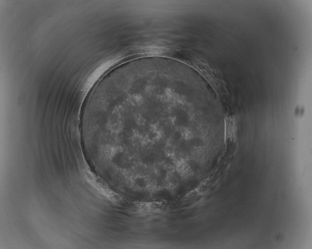 X0000111650147200907171553