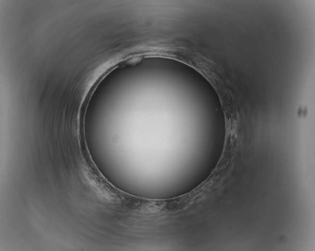 X0000111650148200907171553