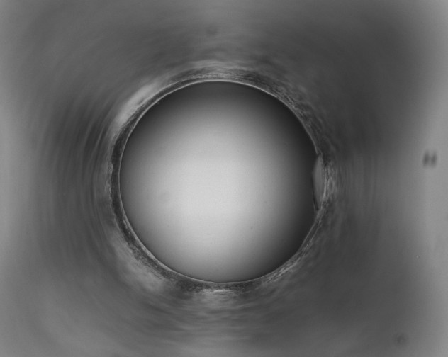X0000111650150200907171553