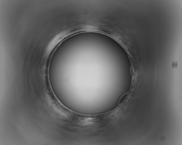 X0000111650151200907171553
