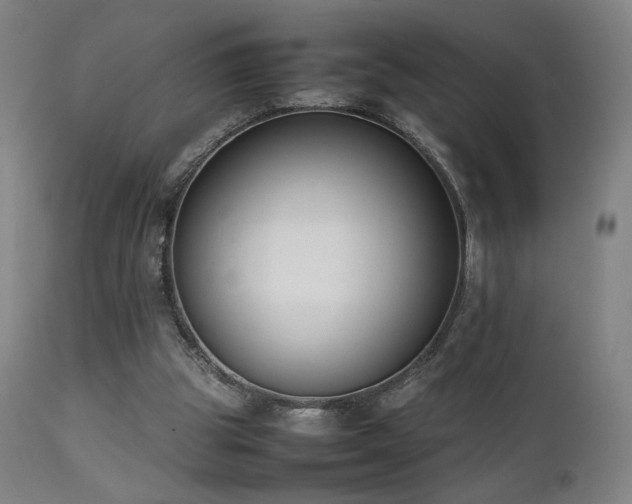 X0000111650153200907171553