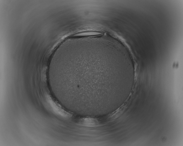 X0000111650154200907171553