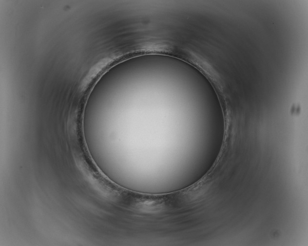 X0000111650155200907171553