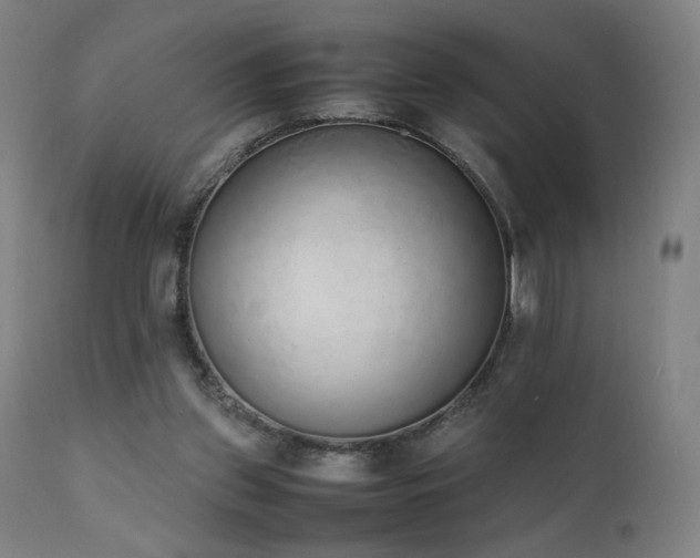 X0000111650157200907171554