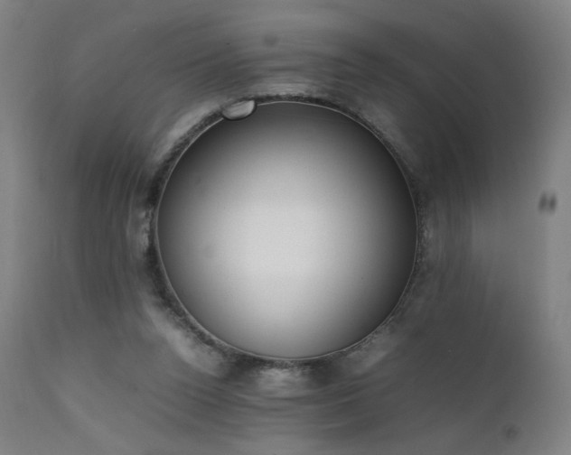 X0000111650160200907171554