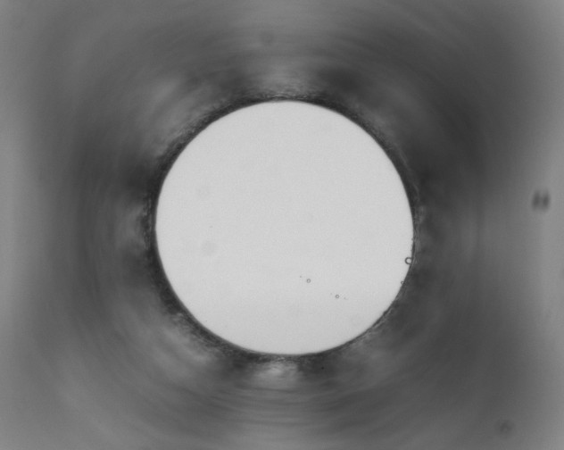 X0000111650162200907171554