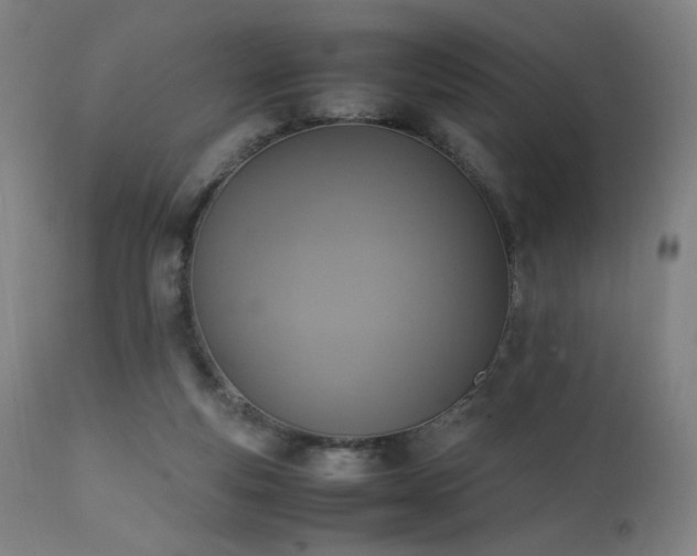 X0000111650163200907171554