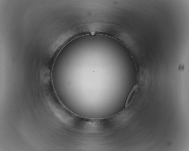 X0000111650164200907171554