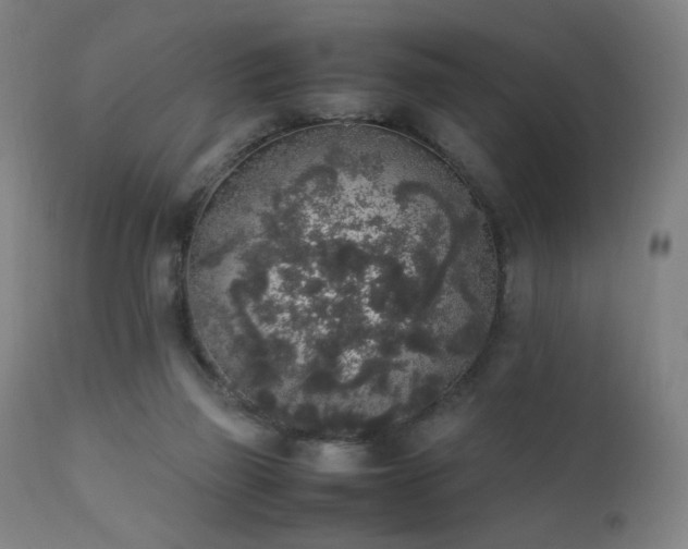 X0000111650165200907171554