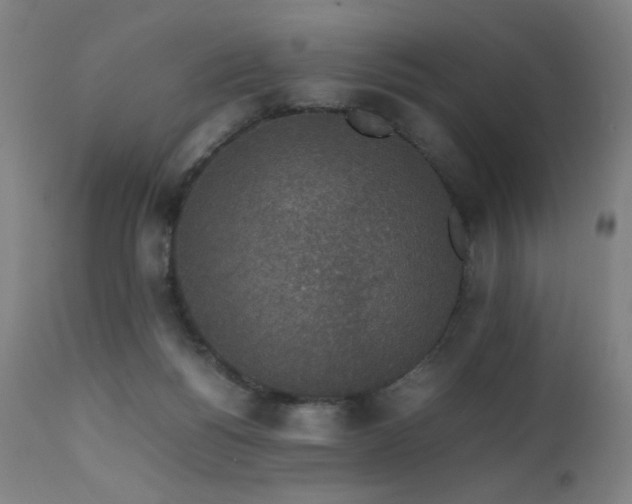 X0000111650168200907171554