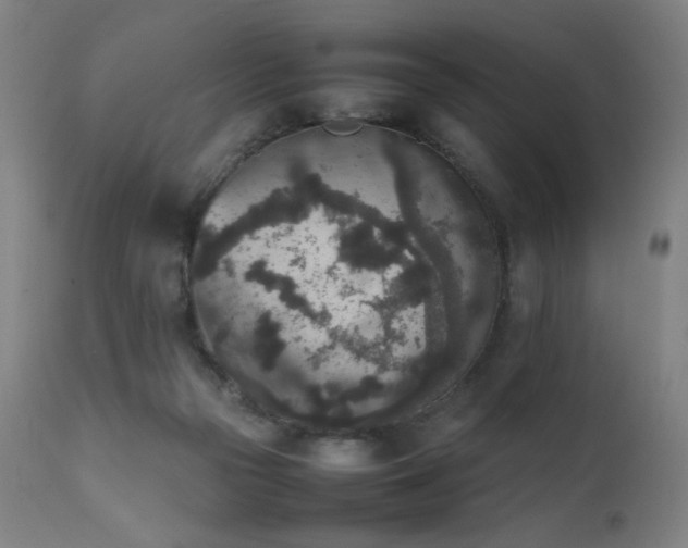 X0000111650169200907171554