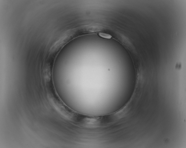 X0000111650170200907171554