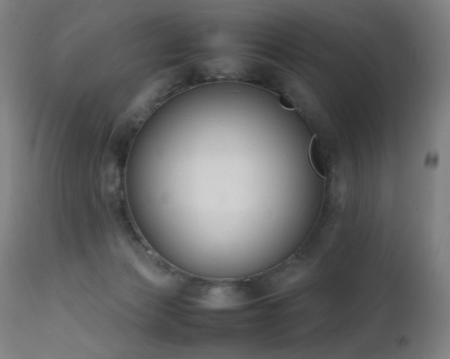 X0000111650173200907171554