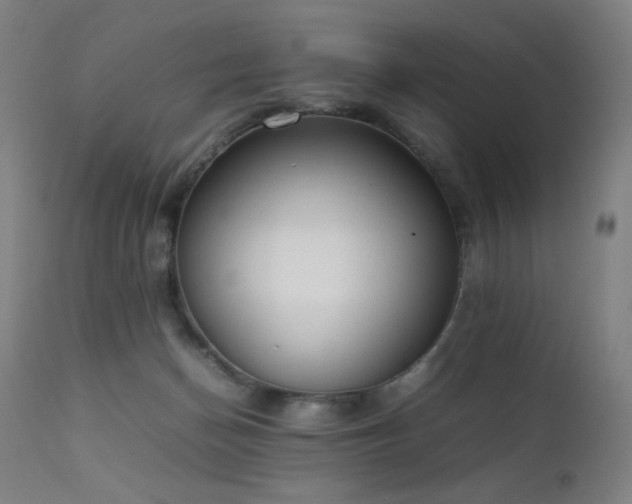 X0000111650174200907171554