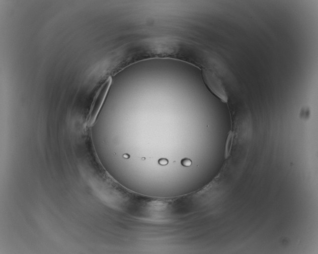 X0000111650176200907171554